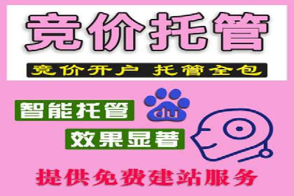 百度竞价公司案例分析：提升转化率的策略